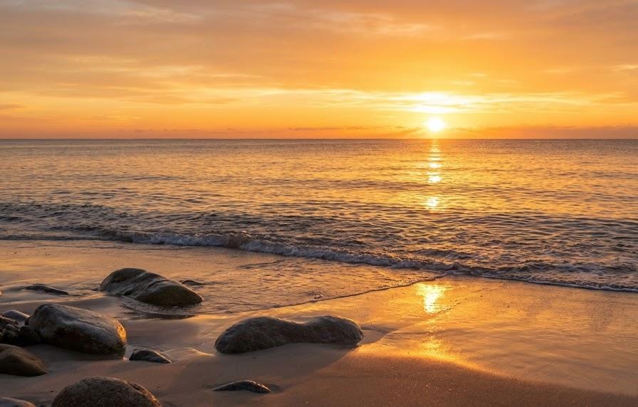 【シーン別】元旦を家以外で楽しむおすすめの過ごし方