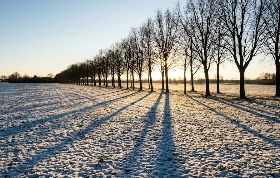 太陽の通り道「南中高度」が低くなることの影響